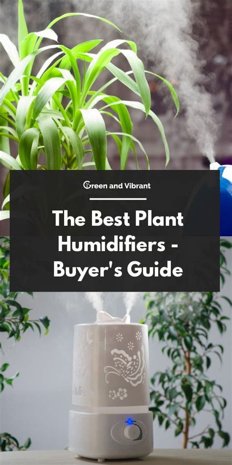 honywell moisture sticks rfid chip for plants|The 7 Best Plant Humidifiers For Your Indoor Plants.